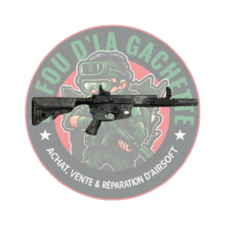 AR15 APS - OCCASION