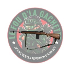 M14 ASG AEG OCCASION